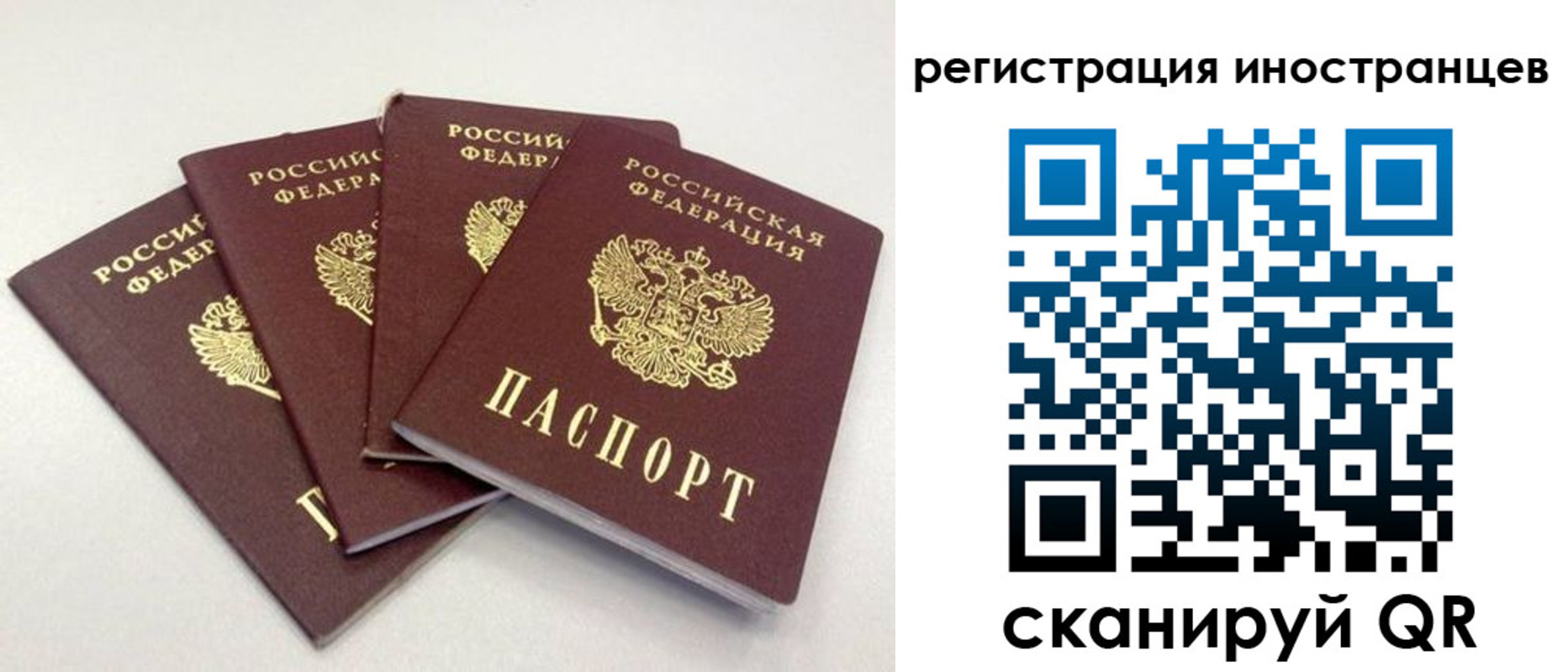 временная регистрация для школы в Вологодской области